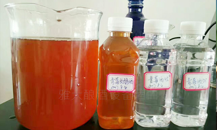 11-青梅泡酒发酵酒 11-青梅泡酒发酵酒