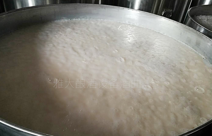不锈钢全自动酿酒设备做大米酒发酵中 不锈钢全自动酿酒设备做大米酒发酵中