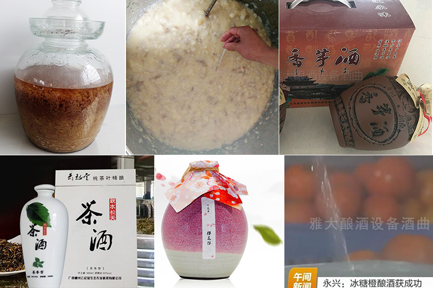 帮助学员研发各种特色酒 帮助学员研发各种特色酒