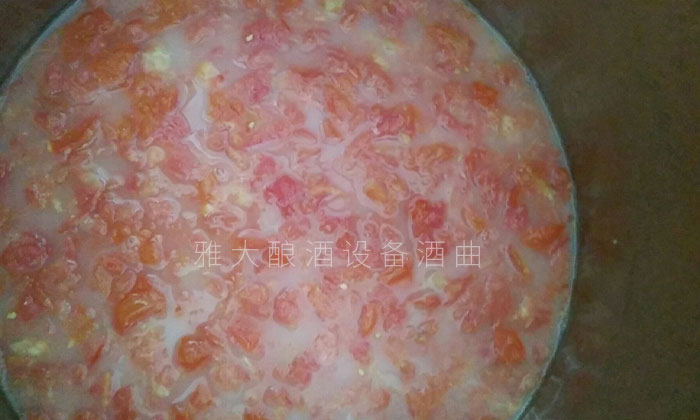 西红柿发酵第3天 西红柿发酵第3天