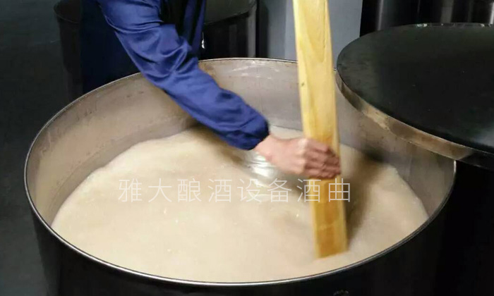 大米生料发酵中