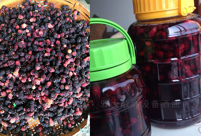 除药酒外还可酿造各种水果酒 除药酒外还可酿造各种水果酒