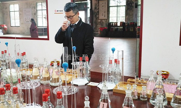 国家酿酒师品酒3 国家酿酒师品酒3