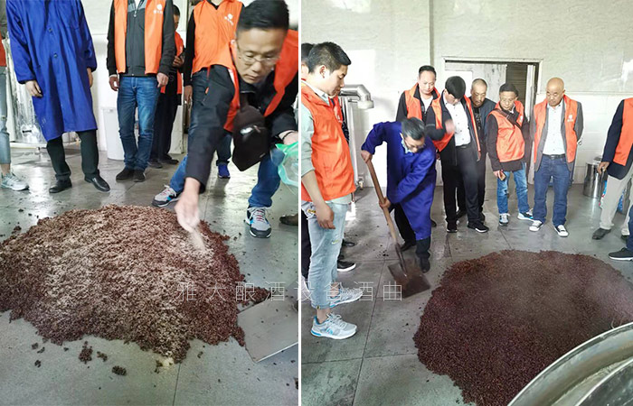 在雅大酿酒车间亲自动手实际操作酿酒 在雅大酿酒车间亲自动手实际操作酿酒