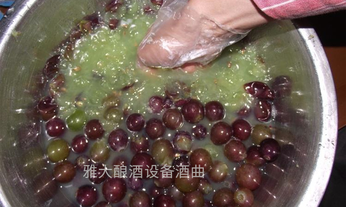 17-终于知道红葡萄酒和白葡萄酒差在哪了-在家不用蒸酒设备都可以做3 17-终于知道红葡萄酒和白葡萄酒差在哪了-在家不用蒸酒设备都可以做3