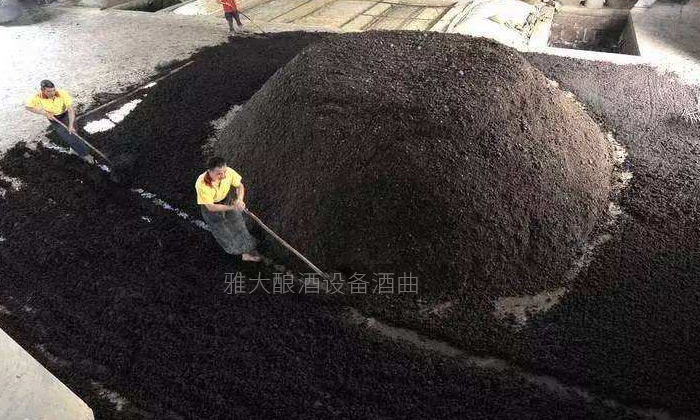 15-小型酒厂酿酒设备蒸馏后的固态酒糟可养小龙虾-是真的吗?堆积的固态酒糟 15-小型酒厂酿酒设备蒸馏后的固态酒糟可养小龙虾-是真的吗?堆积的固态酒糟