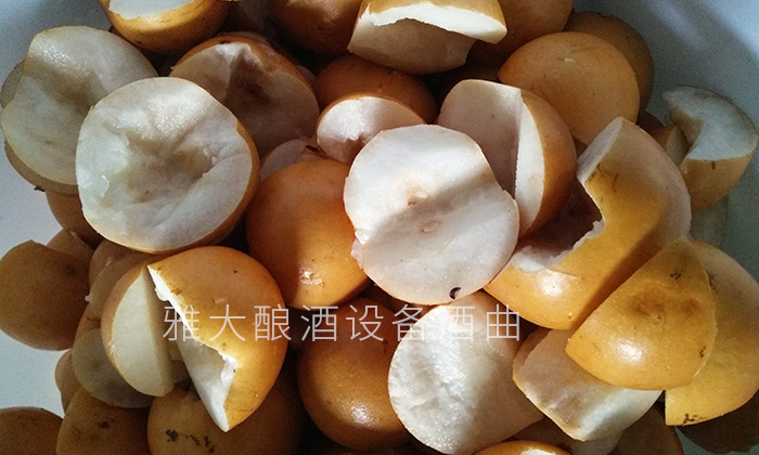 6-几张图带您亲临雅大酿酒设备梨子酒实操教学现场-梨子酿酒方法2 6-几张图带您亲临雅大酿酒设备梨子酒实操教学现场-梨子酿酒方法2
