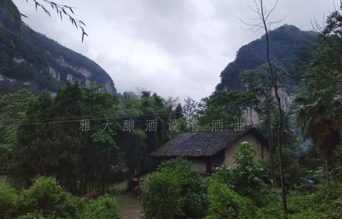 8.25-兵哥哥用雅大制酒设备酿出湄江招牌旅游产品,月净赚3万1 8.25-兵哥哥用雅大制酒设备酿出湄江招牌旅游产品,月净赚3万1