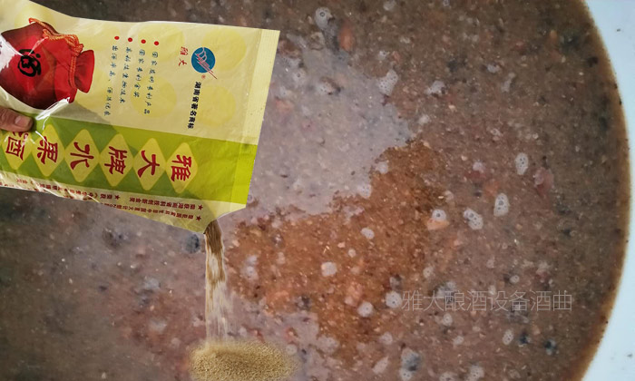 13-金樱子5 13-金樱子5