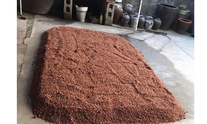 农村小型烧酒设备小作坊酿造高粱酒工艺流程-高粱糖化
