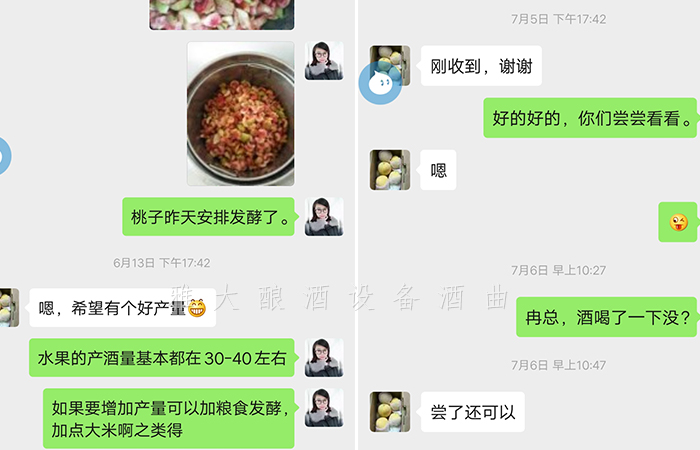 10.28-黄桃酿酒案例1 10.28-黄桃酿酒案例1