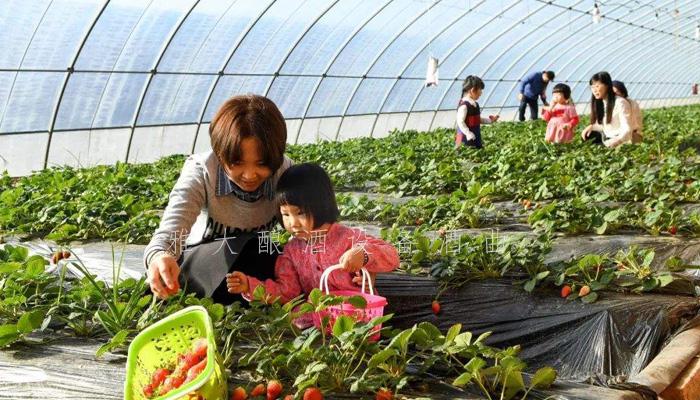 开个酒厂利润大吗 农村酿酒躺着也能赚钱的4大销售方法 5 开个酒厂利润大吗 农村酿酒躺着也能赚钱的4大销售方法 5