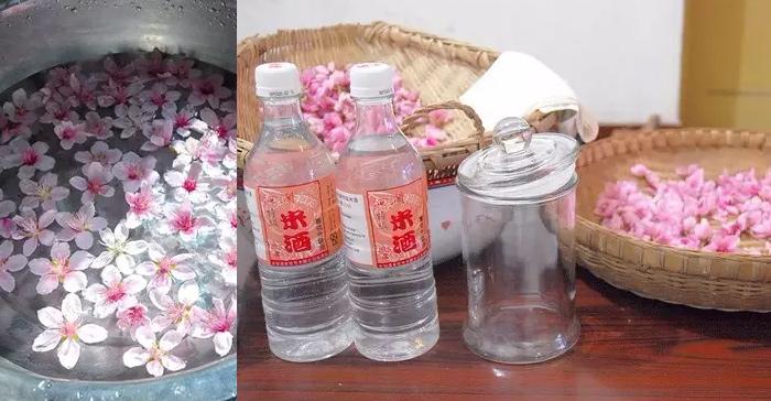 桃花+小型自酿酒设备,宅在家也能酿出桃花酿 1 桃花+小型自酿酒设备,宅在家也能酿出桃花酿 1