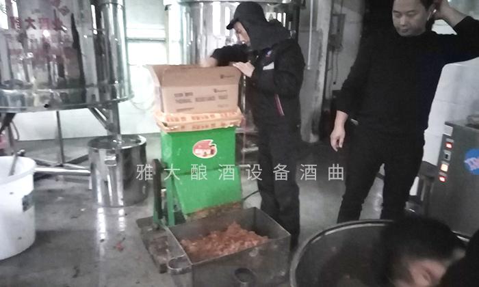 它酷似樱桃,90后用果酒酿酒设备将它酿酒,见过的不多 4 它酷似樱桃,90后用果酒酿酒设备将它酿酒,见过的不多 4