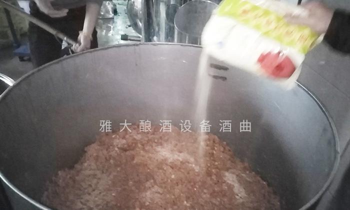 它酷似樱桃,90后用果酒酿酒设备将它酿酒,见过的不多 5 它酷似樱桃,90后用果酒酿酒设备将它酿酒,见过的不多 5