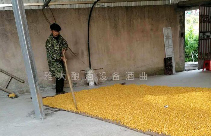 “蒸酒磨豆腐,不敢逞师傅” 用酿酒机器做酒40年的老师傅这样说 2 “蒸酒磨豆腐,不敢逞师傅” 用酿酒机器做酒40年的老师傅这样说 2