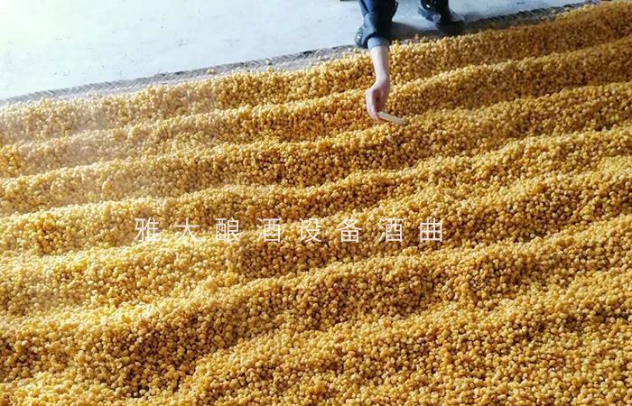 “蒸酒磨豆腐,不敢逞师傅” 用酿酒机器做酒40年的老师傅这样说 3 “蒸酒磨豆腐,不敢逞师傅” 用酿酒机器做酒40年的老师傅这样说 3