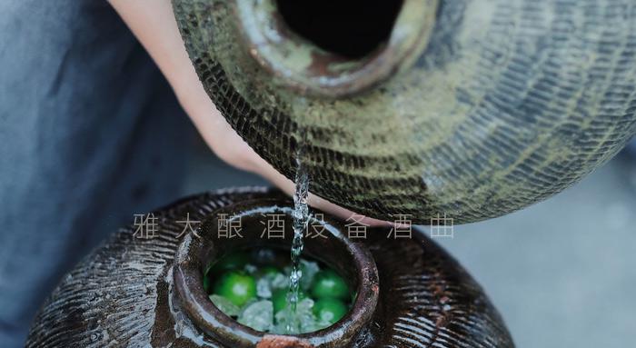 弄1套小型酿酒设备200型,回家用青梅煮酒(附青梅酿酒技术) 2 弄1套小型酿酒设备200型,回家用青梅煮酒(附青梅酿酒技术) 2