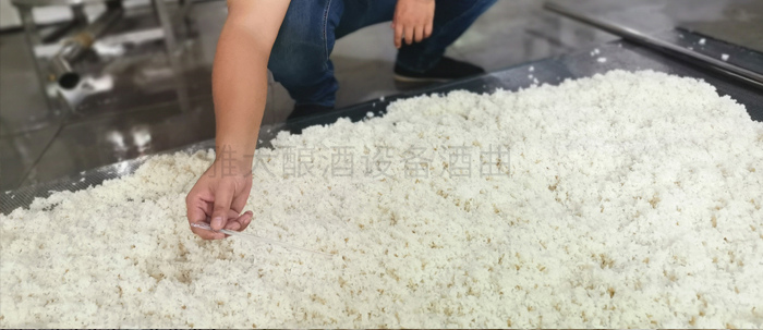 酿酒技术难不难?自己来学下 5 酿酒技术难不难?自己来学下 5