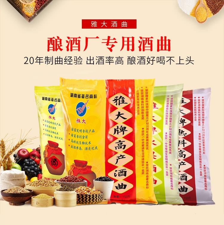 “雅大”参加“双创”比赛路演 5 “雅大”参加“双创”比赛路演 5