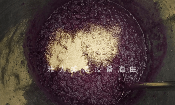 想做紫薯酒,口感好吗?紫薯酿酒设备技术 6 想做紫薯酒,口感好吗?紫薯酿酒设备技术 6