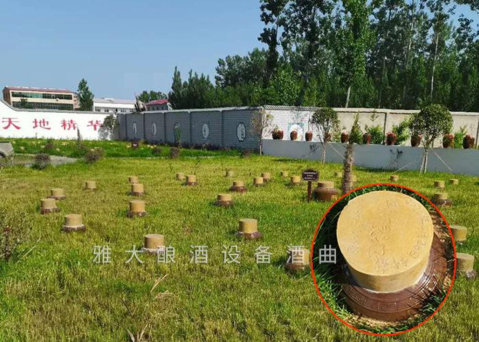 开启“种酒”全新白酒营销模式,打造小型酒厂酿酒设备特色纯粮窖藏酒坊! 7 开启“种酒”全新白酒营销模式,打造小型酒厂酿酒设备特色纯粮窖藏酒坊! 7