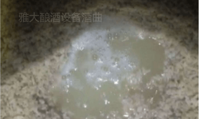 大米半固态发酵，没加水前酒液就很丰富7