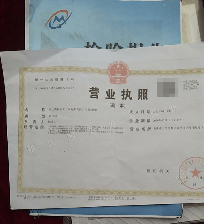 营业执照 营业执照