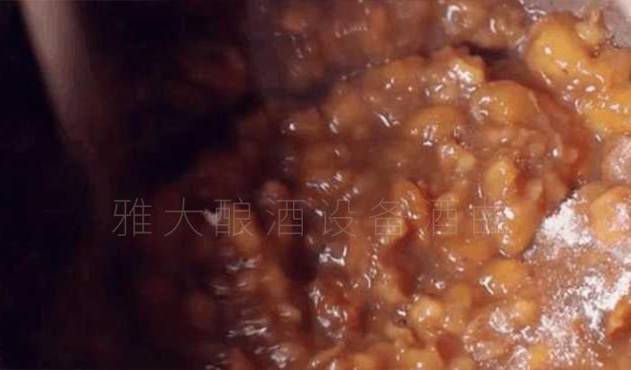 实用的枇杷酿酒技术来了,您想学吗? 4 实用的枇杷酿酒技术来了,您想学吗? 4