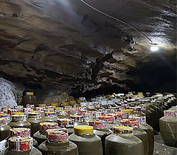 引进大型酿酒设备，酒旅融合，依托溶洞优势资源打造特色洞藏酒