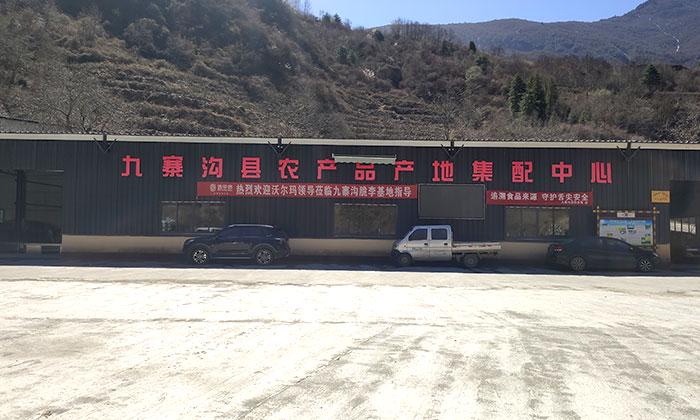 建立冷链物流体系