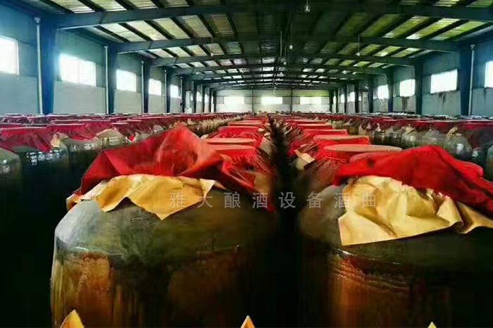白酒蒸馏设备蒸馏后的白酒要陈酿
