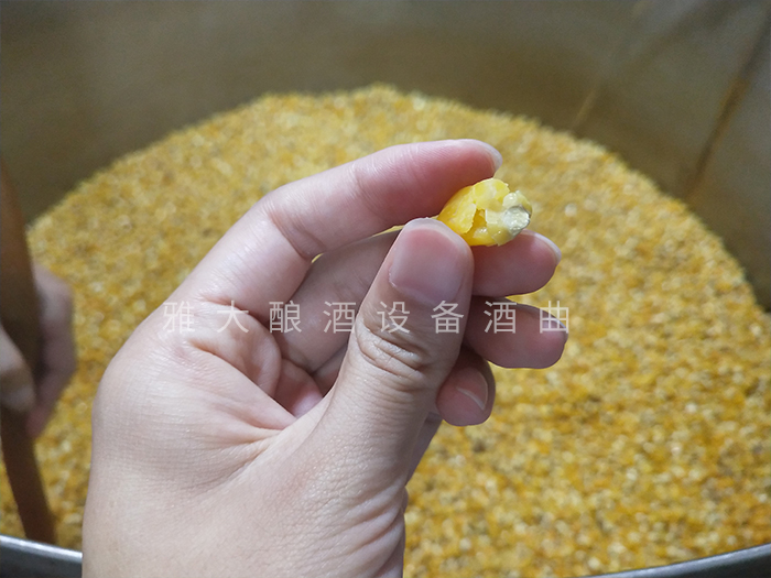 检查粮食是否泡好