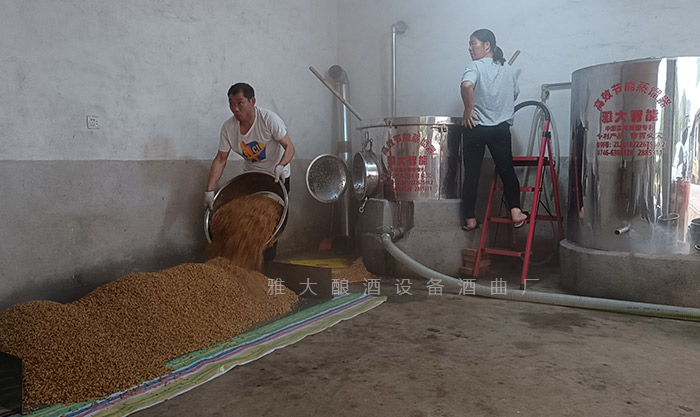 2025蛇年春节，是继续打工还是酿酒创业自己当老板？ 3