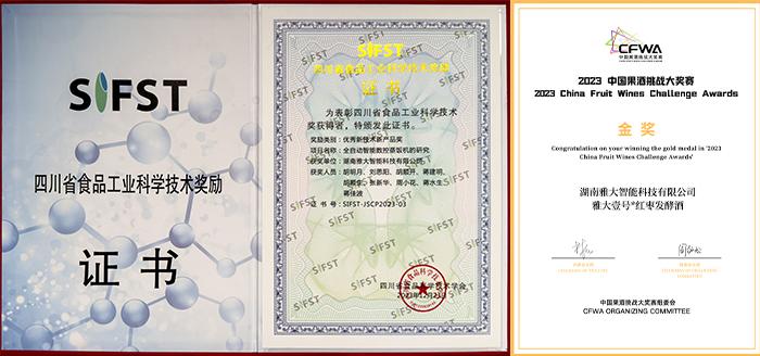 雅大总经理胡明月荣获2024年湖南省企业创新达人 9