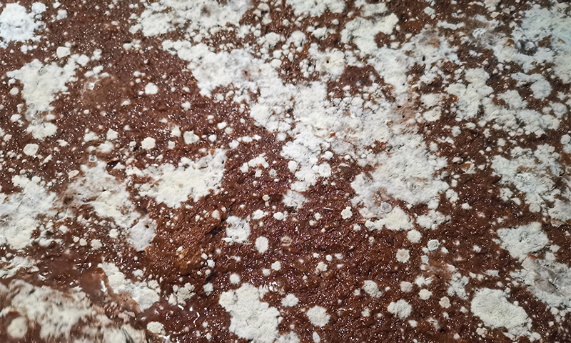 酒酸了别怪天气！90%的春季酸败，都是这5个卫生漏洞惹的祸 2