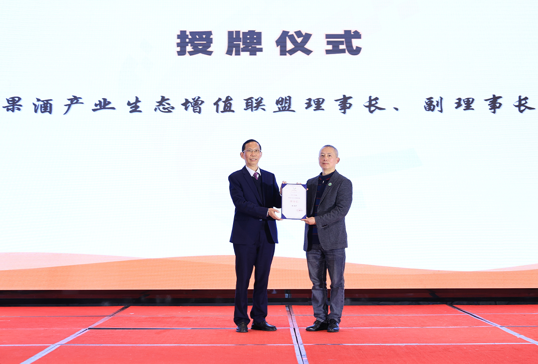 图片10