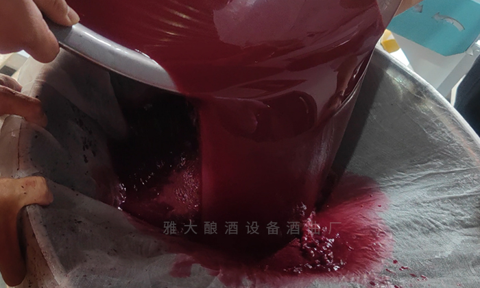 桑葚“次果”变黄金！低成本酿热销果酒，增收秘诀看这里！ 7