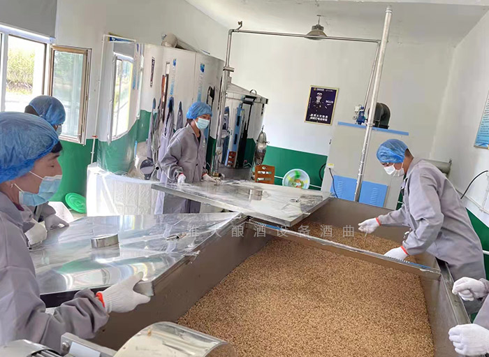 夏季酿酒卫生指南：6招锁死杂菌，保障口感与出酒率！ 5