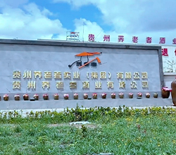 贵州苦荞飘香，酿出乡村振兴“家乡味道”
