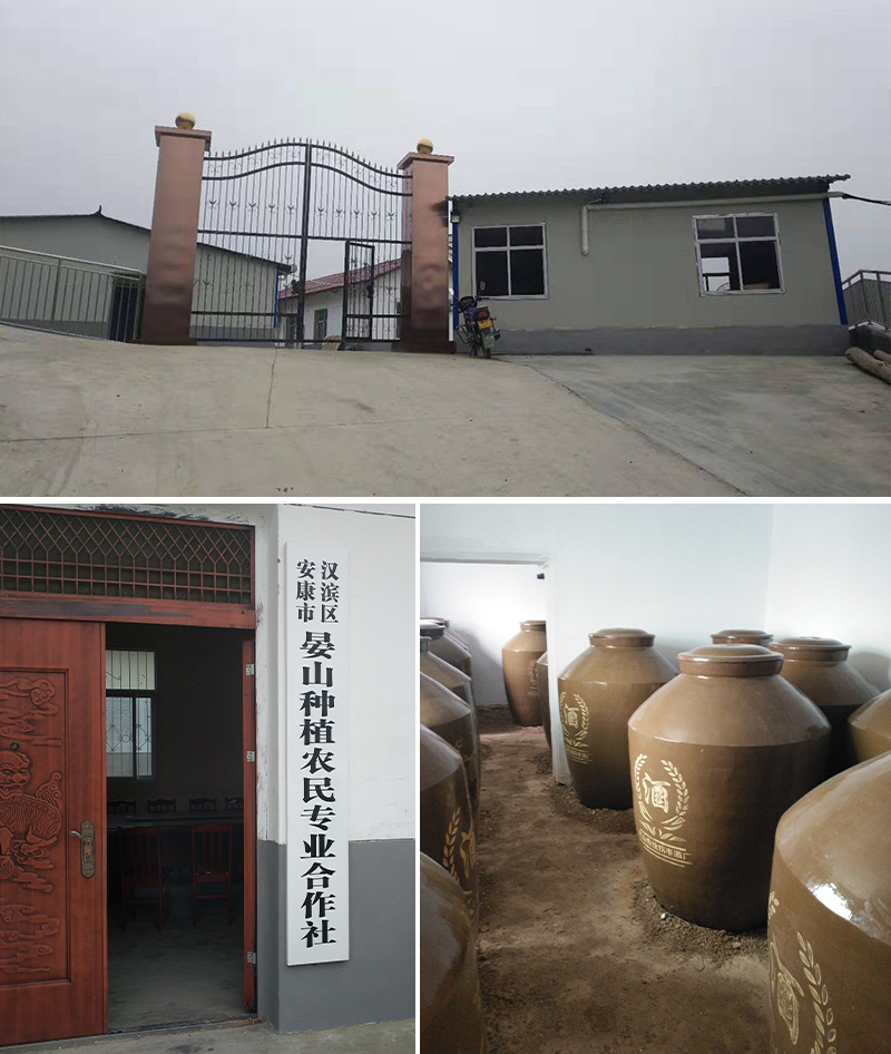 拐枣酿酒设备 3