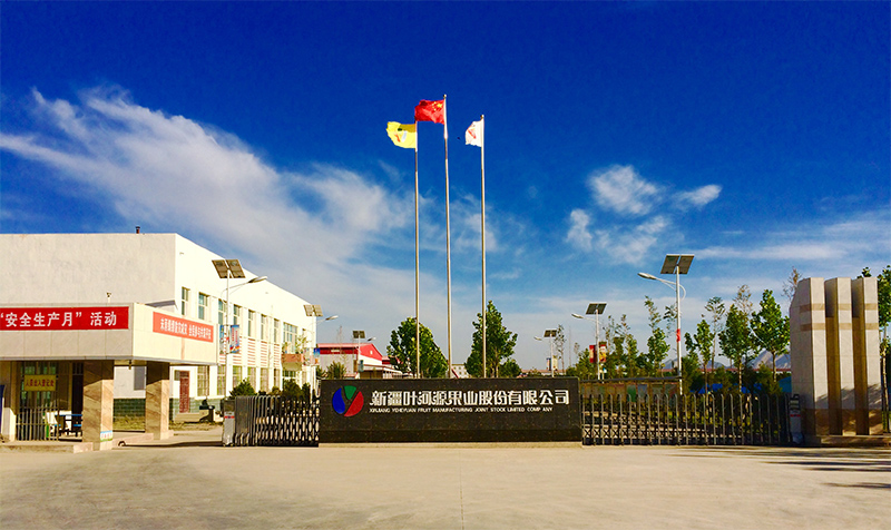 雅大酿酒设备厂家合作客户新疆叶河源红枣酒 1