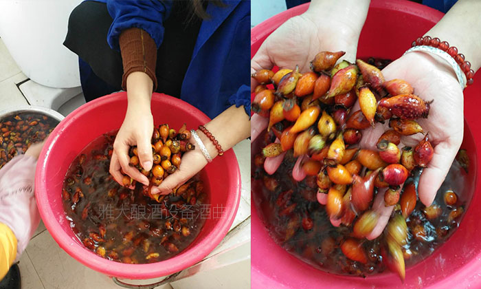 退役军人返乡酿酒，他用一坛&ldquo;丁郎酒&rdquo;酿出家乡致富路！ 6