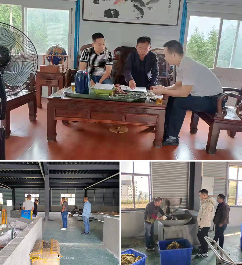 &ldquo;黄金&rdquo;出深山&mdash;&mdash;安化黄精酒产业发展铺就乡村振兴之路 3