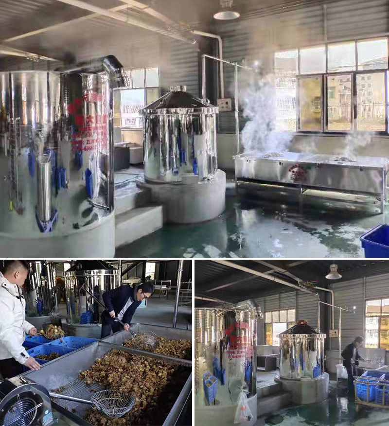 &ldquo;黄金&rdquo;出深山&mdash;&mdash;安化黄精酒产业发展铺就乡村振兴之路 4